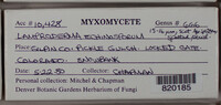 Image Associated With the Occurence
